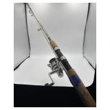 Mitchell Advanta Series fishing rod & Daiwa