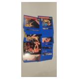 WWf wrestling cards