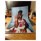 A VERY COOL MICHEAL JORDAN RUG32X22 THE BULLS