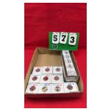 (100) Uncirculated 2005-2006 State Quarters