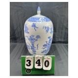 Chinese Blue & White Porcelain Ginger Jar