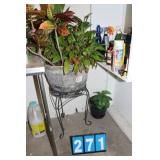 Real And Fake Plant Lot