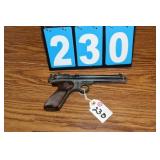 Crosman Pellet Gun