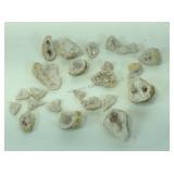 Geode fragments.