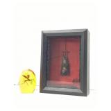 Taxidermy Hanging Bat in Signed Numbered 1/1