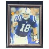 Peyton Manning Autographed picture