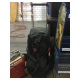 Brunswick Bowling bag w/3 bowling balls