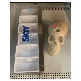 Skull candle holder and bartop condiment
