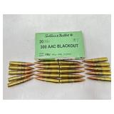 39 Rounds 300 Blackout Ammo