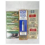 22Lr Ammo