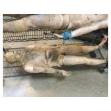 Male Trauma/First aid training dummy, 71in