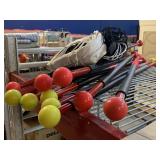 Flaghouse sports sticks and game net.
