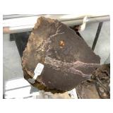 Chunk of petrified wood, 6x5x3in