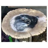 Petrified wood center dish, 9.5x12x1.5in