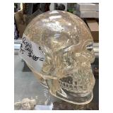 Resin Skull, 8x5.5x6.5in