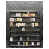 Large Wall Hanging Display Case. Hinged Door w/