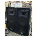 2 DFX professional Audio Speakers, Mod DFX-215