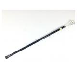 Scorpion Embedded Acrylic Handled Walking Cane