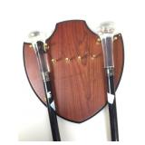 Pair Canes with Acrylic Handles and Display Rack