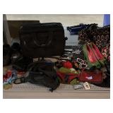 Samsonite messenger portfolio case, high Sierra