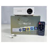 LED Projector in box.