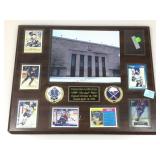 Buffalo sabres plaque