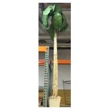 Faux palm tree, Approx 80 in tall