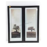 These are framed art prints by Alan Blaustein