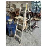 Werner Saft-Master Household 6ft tall stepladder,