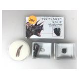 Authentic Dinosaur Teeth