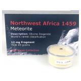 Northwest Africa 1459 Meteorite