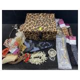 Jewelry Box W/costume Jewelry, See Photos