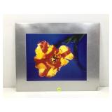 Orig Kirk Ellison Cibachrome on Aluminum #3/45 -
