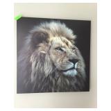 Lion Head Print Wall Art On Wrapped Canvas 30x30