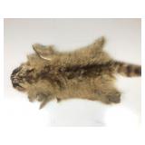 Raccoon Pelt