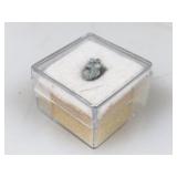 Genuine Meteorite Fragment with COA