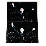 Dennis DeYoung Signed 8x12 Photos