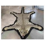 Medium Size Leopard Taxidermy Pelt Rug - with