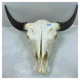 Full size Genuine Bull Skull with Removable Horns