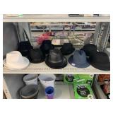 Variety of New Men's Fedora Hats and More.