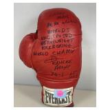 Autograped boxing glove Kickboxing