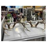 2 Deer Antlers. 9 Point & 8 Point