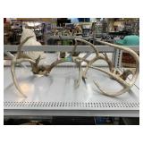 2 Deer Antlers. 8 Point