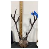 Metal antler mount