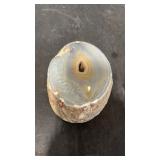 Agate Slice Geode Polished 5.5" x 4.5" x 2.5"