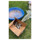 Plastic kids swimming pool , solar lights and