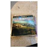 10 vinyl records