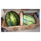 Styrofoam watermelons in a basket