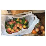 Bag of plastic fruit