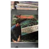 Lot of vinyl records